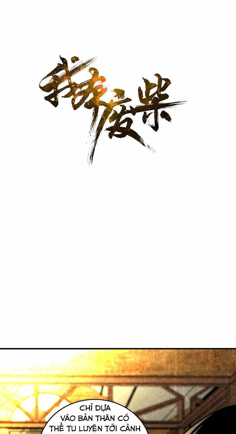 Ta Là Phế Vật Chapter 213 - 2