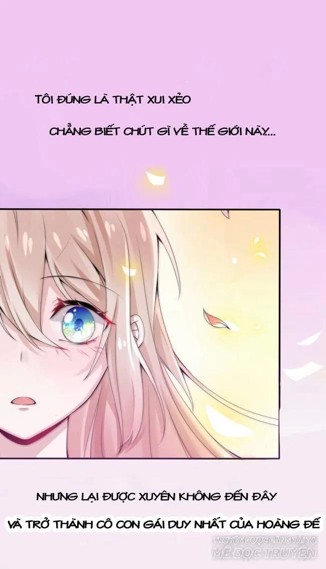 Kế Hoạch Sủng Ái Của Tiểu Công Chúa Chapter 1 - 1