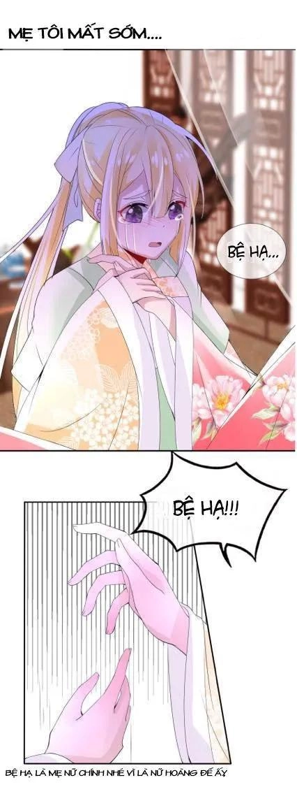 Kế Hoạch Sủng Ái Của Tiểu Công Chúa Chapter 1 - 3