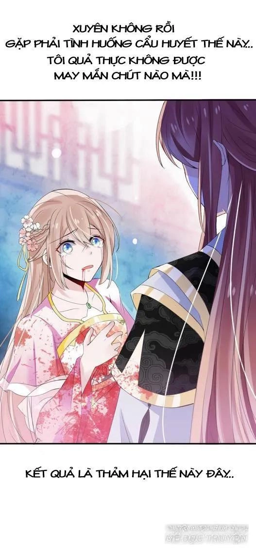 Kế Hoạch Sủng Ái Của Tiểu Công Chúa Chapter 1 - 6