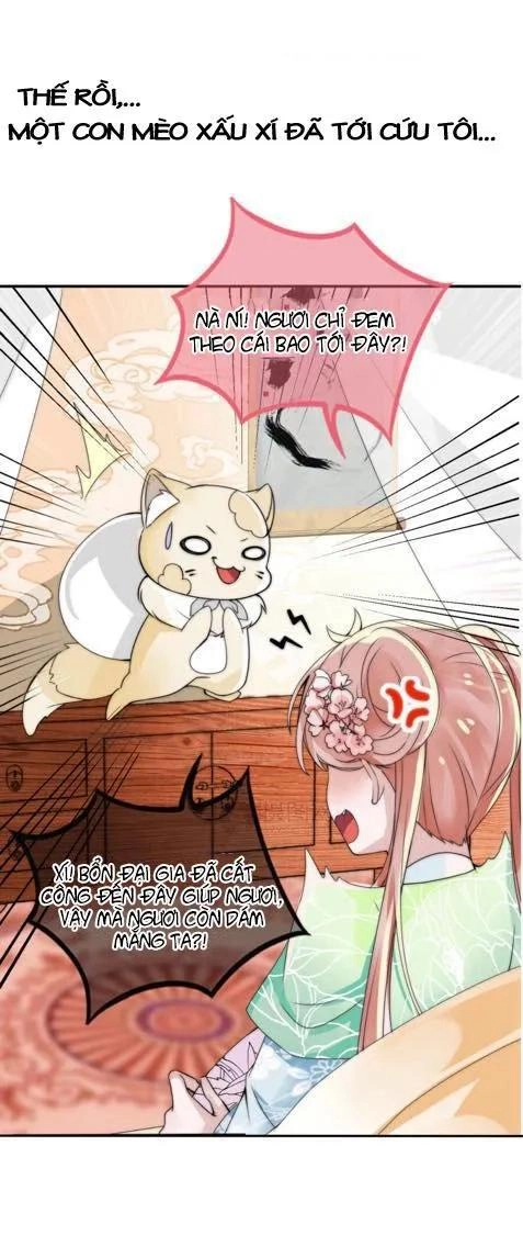 Kế Hoạch Sủng Ái Của Tiểu Công Chúa Chapter 1 - 8