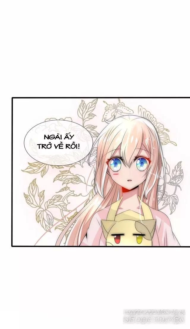 Kế Hoạch Sủng Ái Của Tiểu Công Chúa Chapter 25.1 - 11