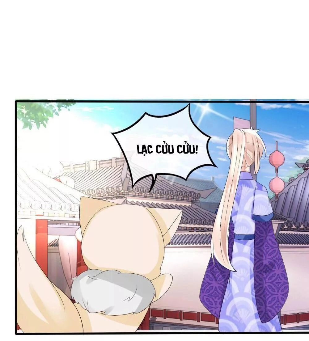 Kế Hoạch Sủng Ái Của Tiểu Công Chúa Chapter 41 - 49