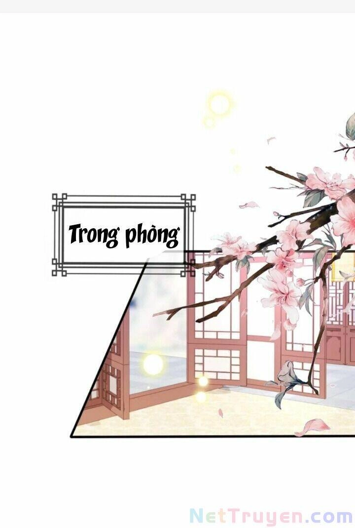 Kế Hoạch Sủng Ái Của Tiểu Công Chúa Chapter 61 - 17