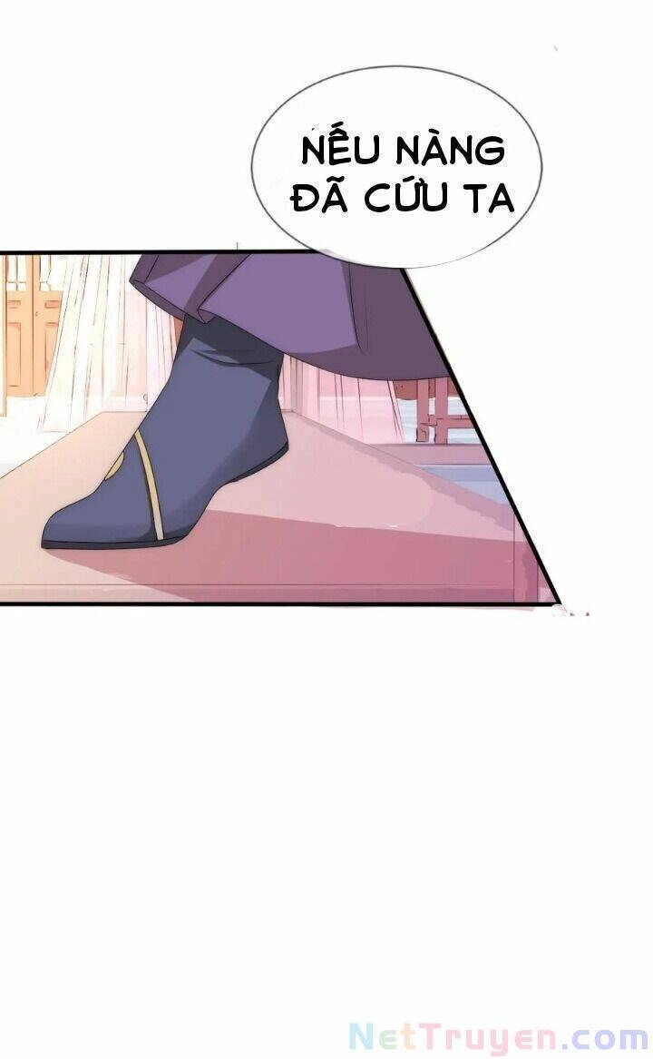 Kế Hoạch Sủng Ái Của Tiểu Công Chúa Chapter 61 - 27