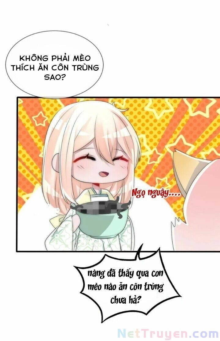 Kế Hoạch Sủng Ái Của Tiểu Công Chúa Chapter 62 - 3