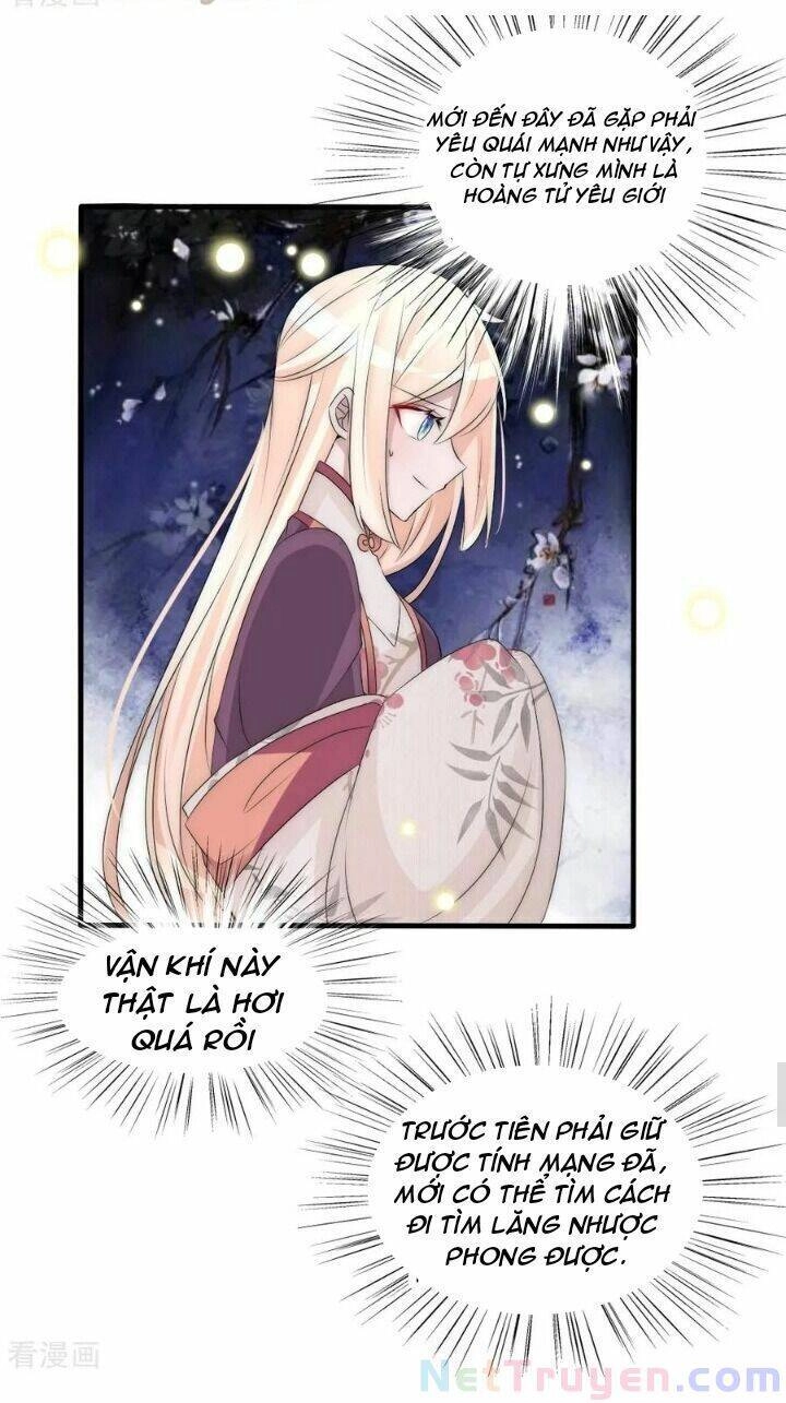 Kế Hoạch Sủng Ái Của Tiểu Công Chúa Chapter 66 - 18