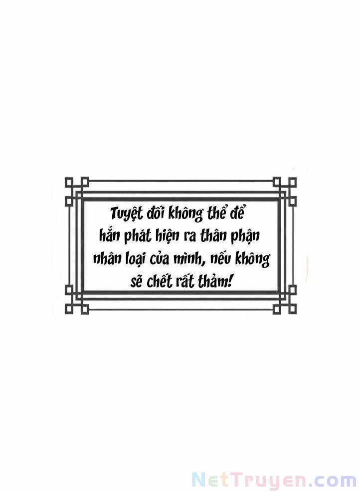 Kế Hoạch Sủng Ái Của Tiểu Công Chúa Chapter 66 - 20