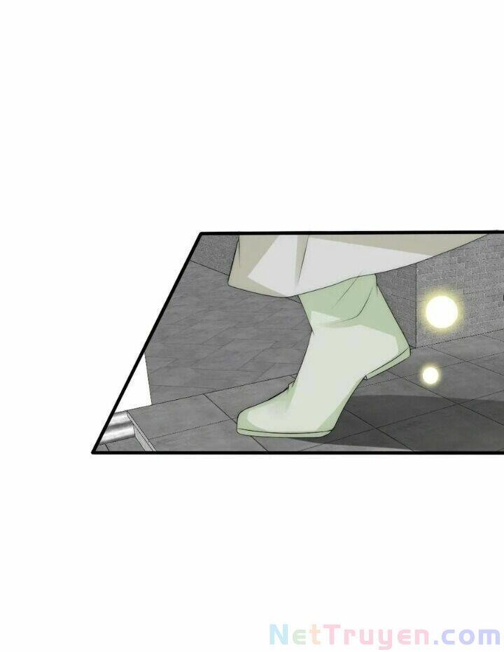 Kế Hoạch Sủng Ái Của Tiểu Công Chúa Chapter 68 - 13