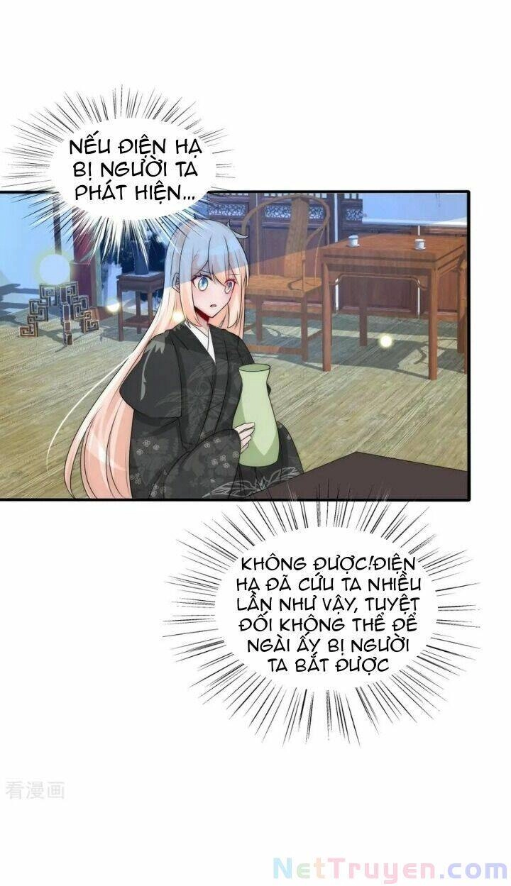 Kế Hoạch Sủng Ái Của Tiểu Công Chúa Chapter 71 - 20