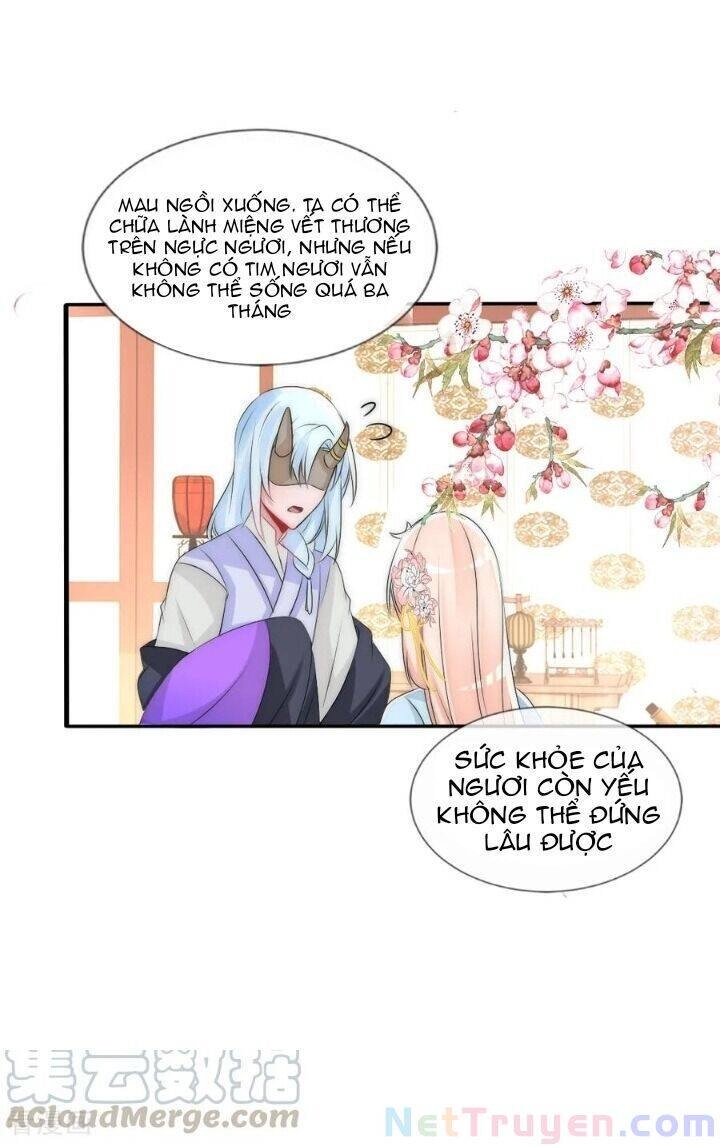 Kế Hoạch Sủng Ái Của Tiểu Công Chúa Chapter 78 - 13