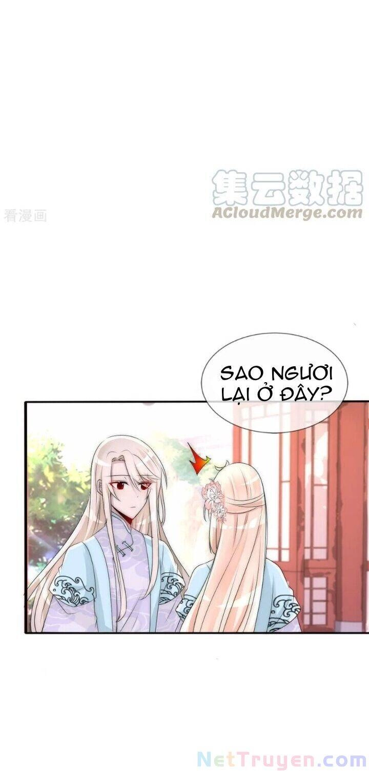 Kế Hoạch Sủng Ái Của Tiểu Công Chúa Chapter 78 - 25