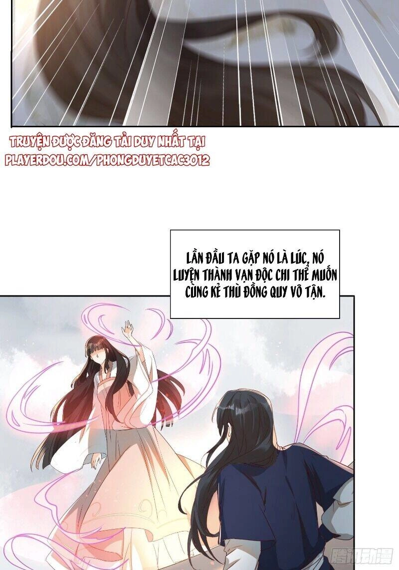 Nghe Nói Ta Là Hợp Hoan Lão Tổ? Chapter 25 - 24