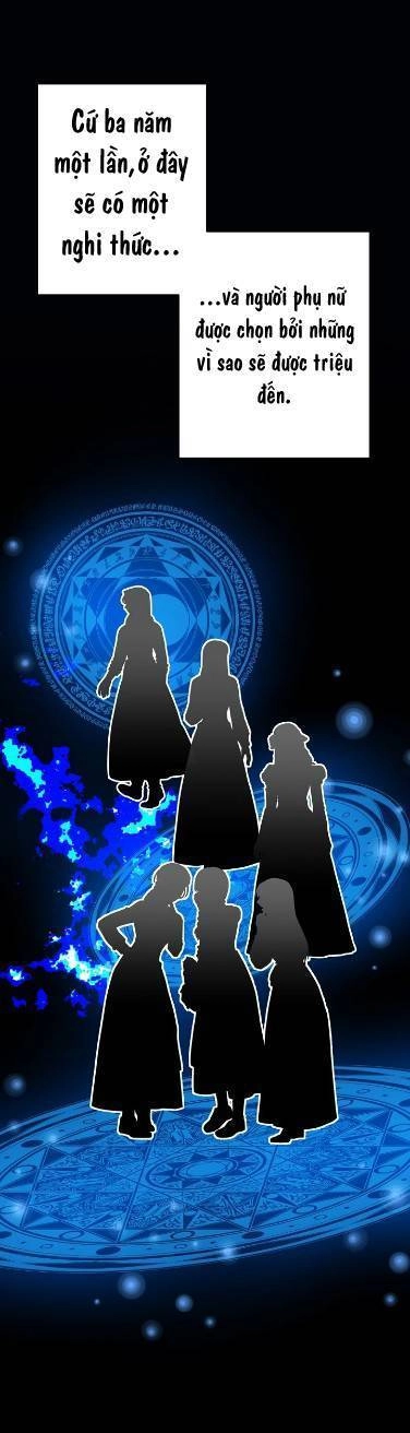 Cô Dâu Của Elysian Chapter 3 - 7