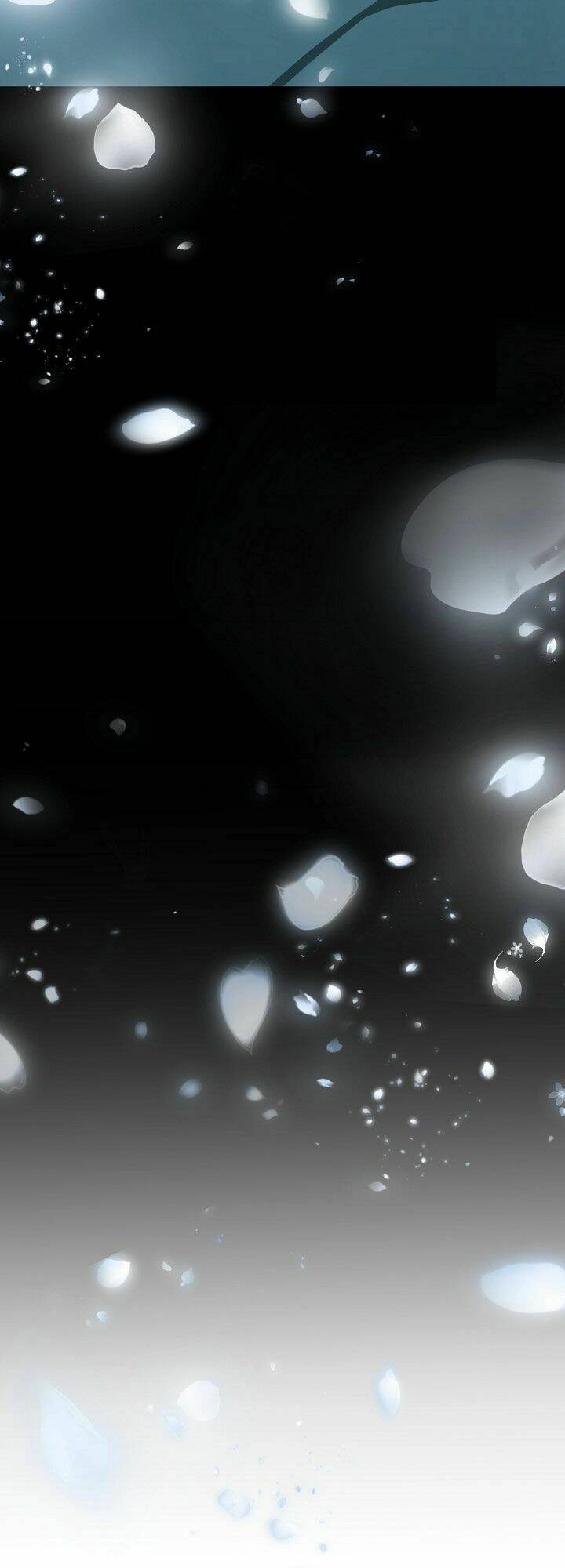 Cô Dâu Của Elysian Chapter 16 - 13