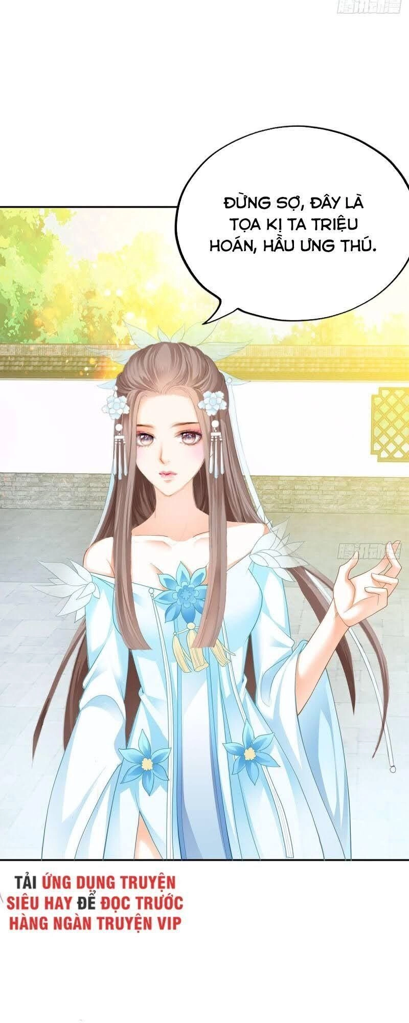 Cửu Tinh Bá Thể Quyết Chapter 12 - 16