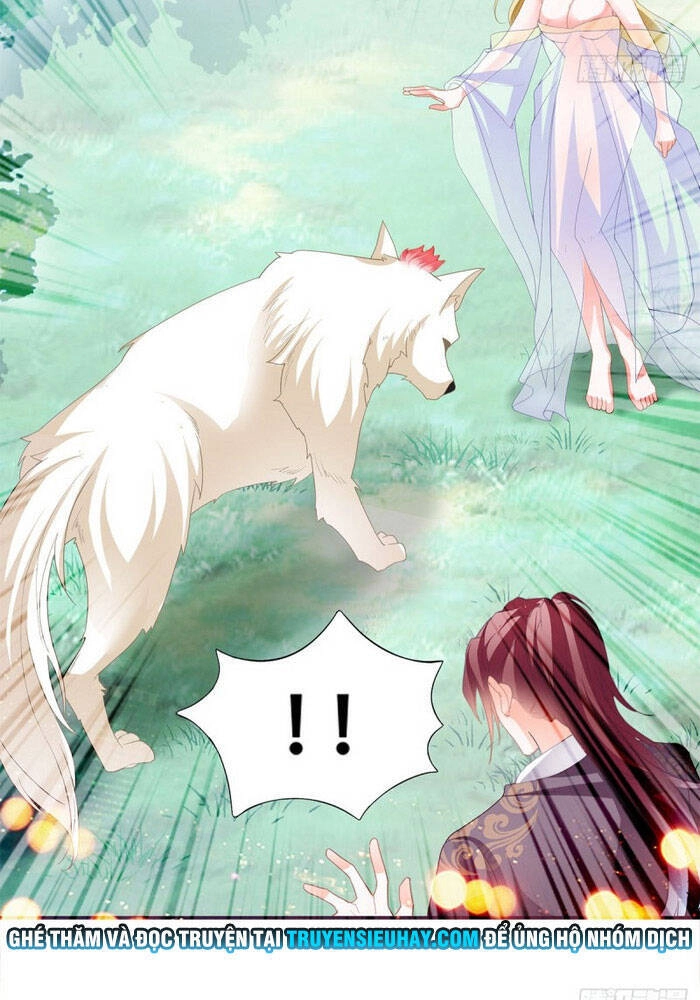 Cửu Tinh Bá Thể Quyết Chapter 44 - 14