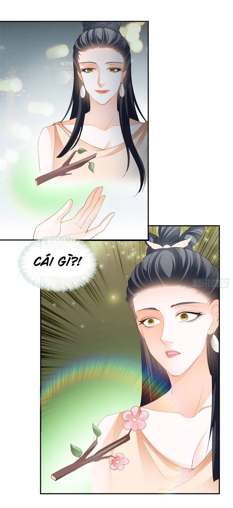 Cửu Tinh Bá Thể Quyết Chapter 57 - 25