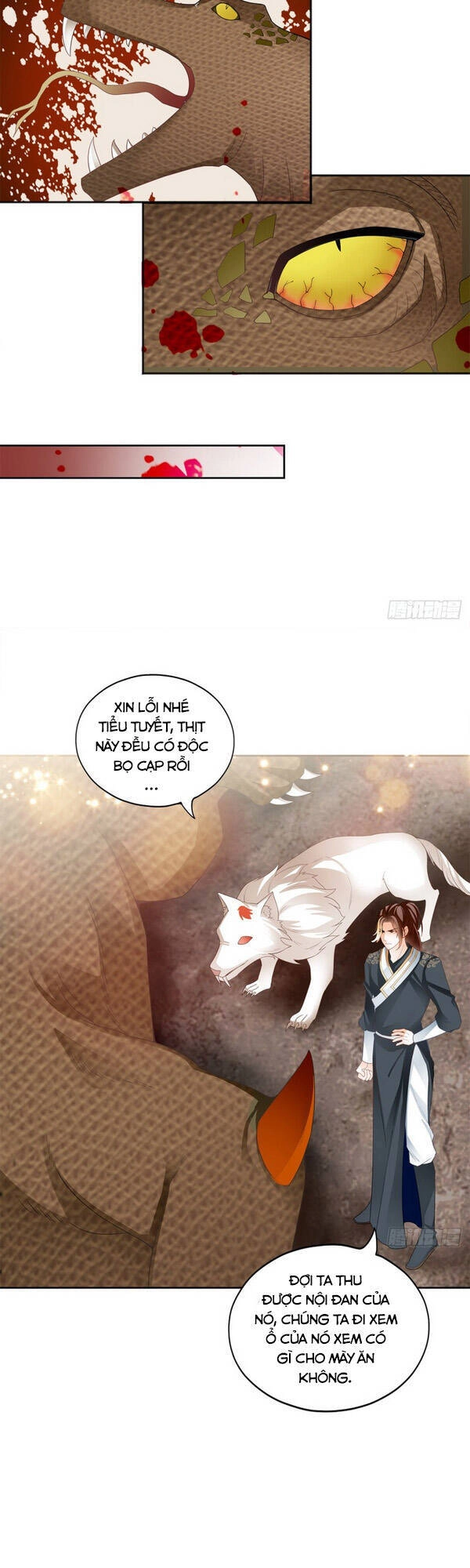 Cửu Tinh Bá Thể Quyết Chapter 60 - 20