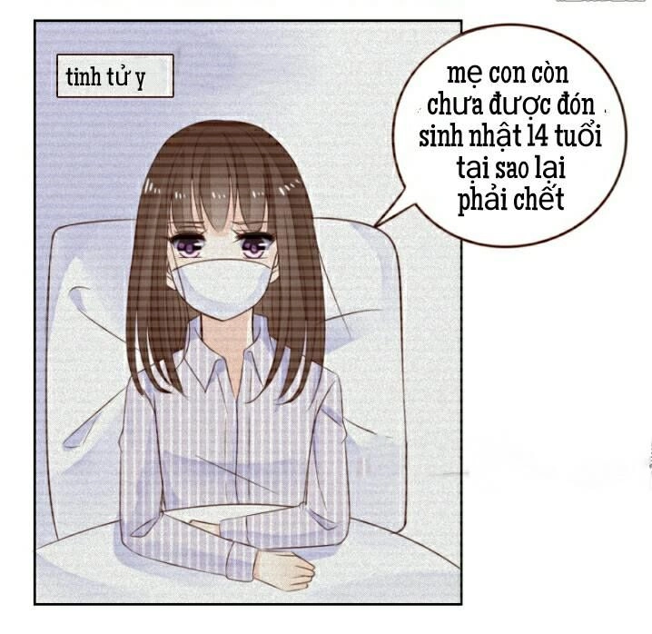 Công Chúa Nữ Vương Mệnh Chapter 5 - 8