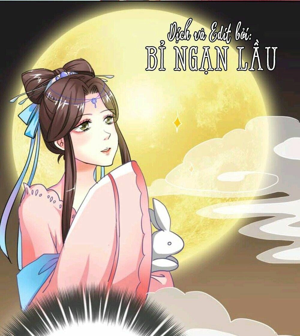 Động Vật Nhỏ Thật Đáng Yêu Chapter 4 - 10