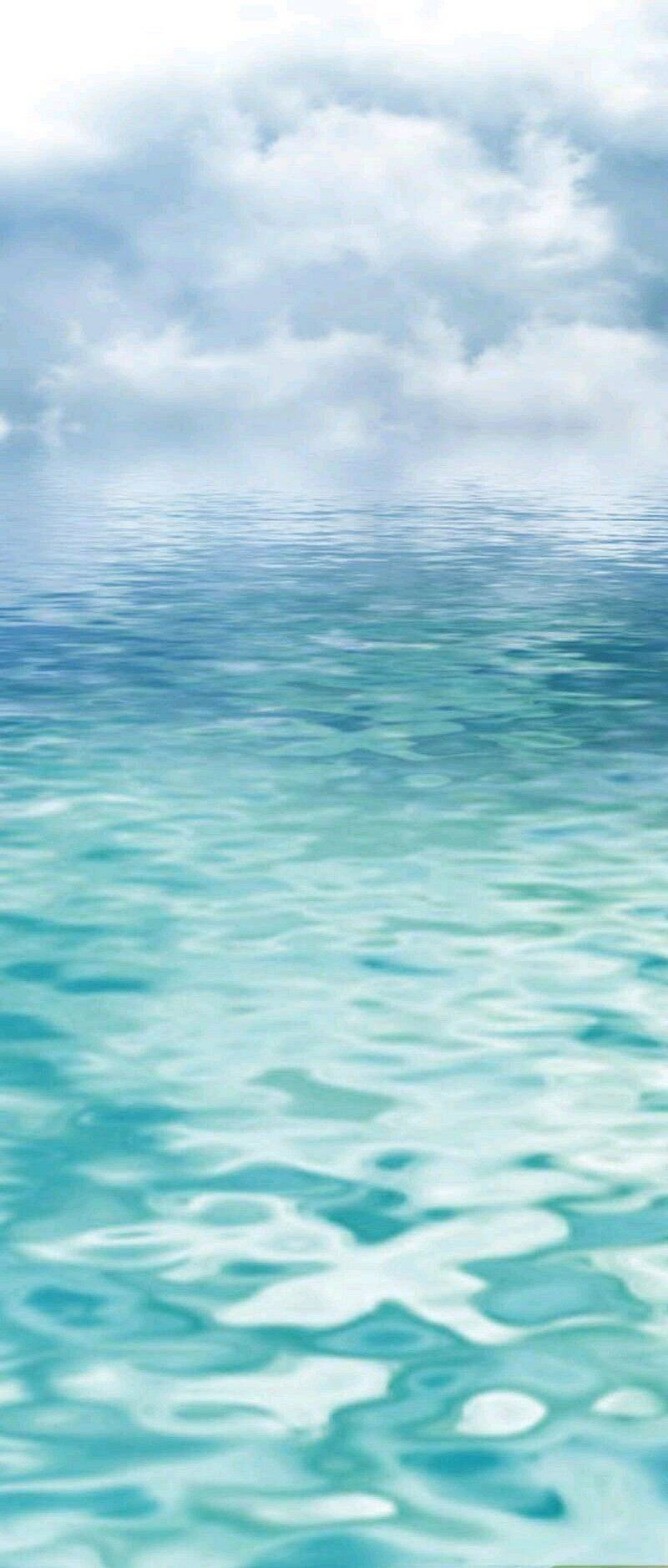 Động Vật Nhỏ Thật Đáng Yêu Chapter 8 - 4