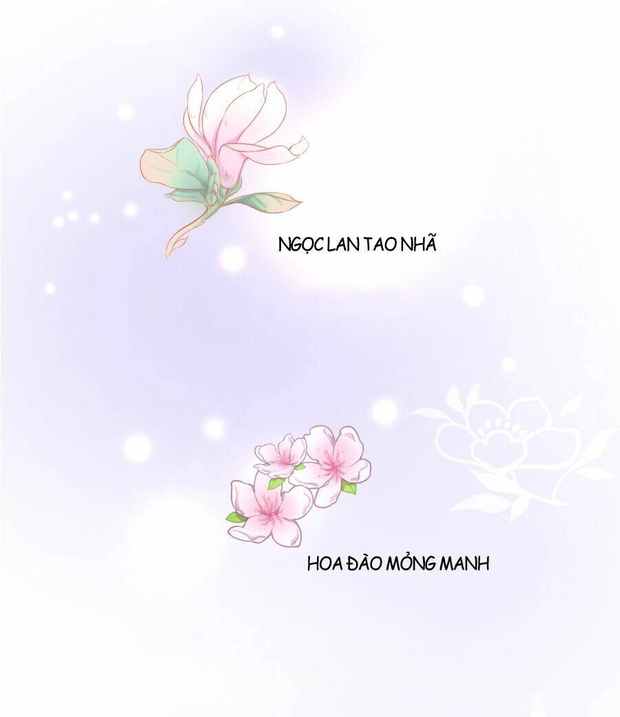 Đường Hoa Nhất Mộng Cổ Phi Truyện Chapter 11 - 35