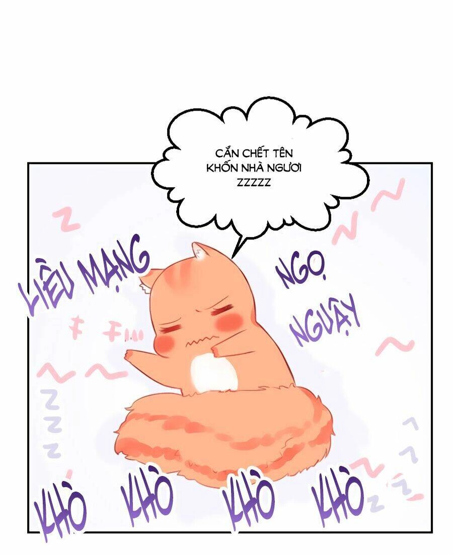 Đường Hoa Nhất Mộng Cổ Phi Truyện Chapter 23 - 19