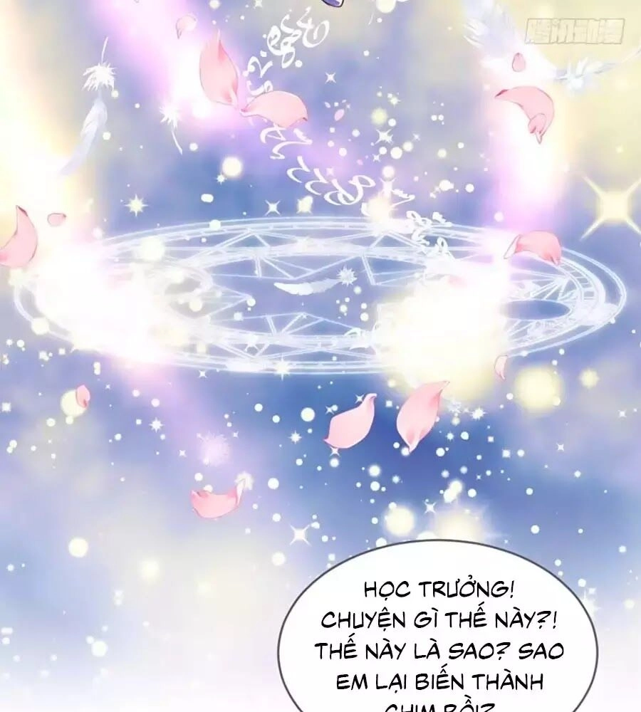 Thịnh Thế Hoa Sủng: Tôi Bị Bắt Làm Tù Binh Chapter 13 - 15