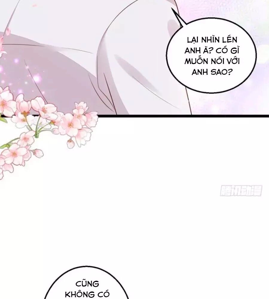 Thịnh Thế Hoa Sủng: Tôi Bị Bắt Làm Tù Binh Chapter 15 - 24