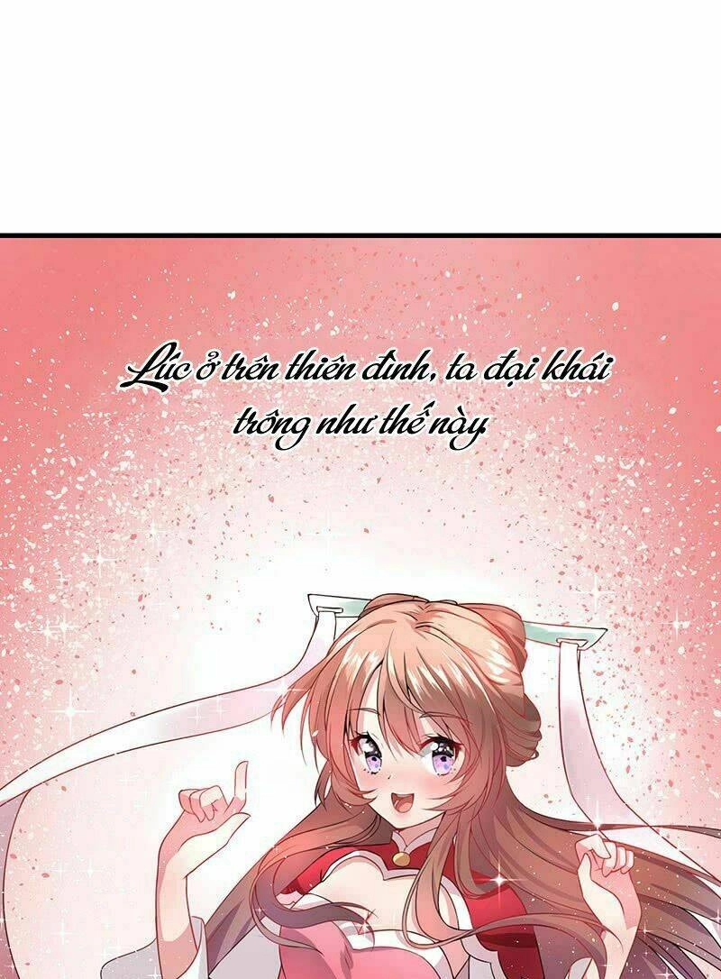 Quan Âm Giá Đáo Chapter 1.5 - 3