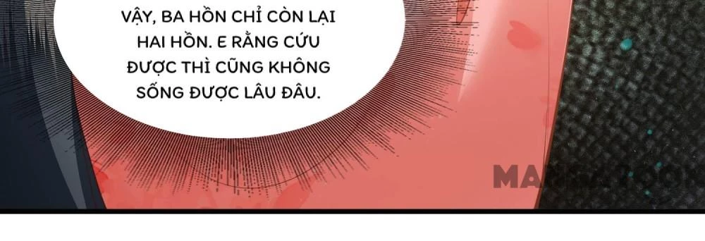 Con Đường Hoang Dã Của Vương Phi Chapter 47 - 19