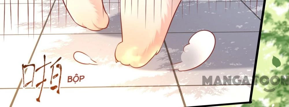 Con Đường Hoang Dã Của Vương Phi Chapter 69 - 14