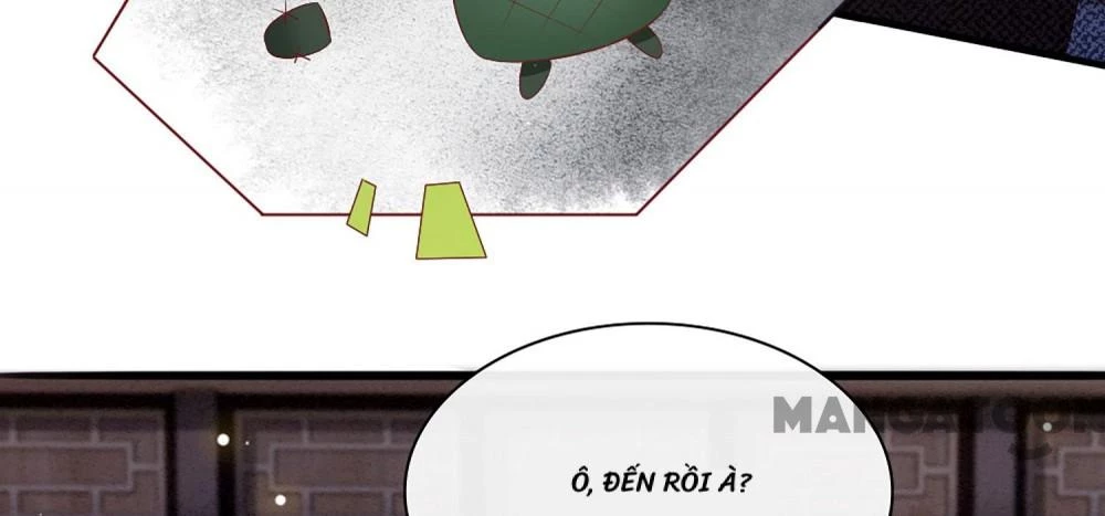 Con Đường Hoang Dã Của Vương Phi Chapter 123 - 6