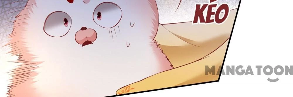 Con Đường Hoang Dã Của Vương Phi Chapter 125 - 25