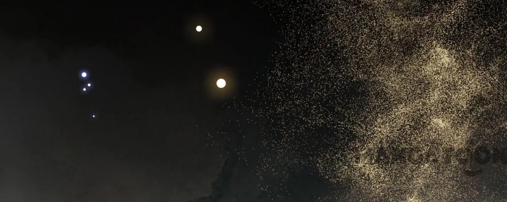 Con Đường Hoang Dã Của Vương Phi Chapter 132 - 15