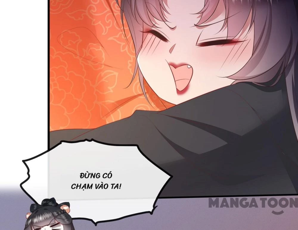 Con Đường Hoang Dã Của Vương Phi Chapter 136 - 28