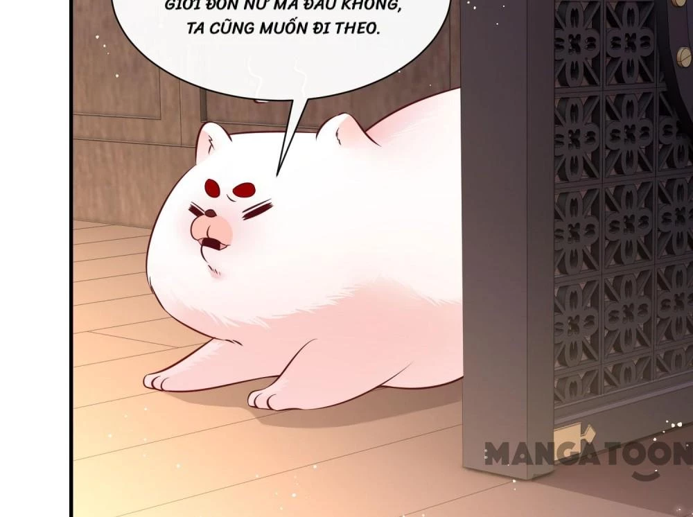 Con Đường Hoang Dã Của Vương Phi Chapter 147 - 41