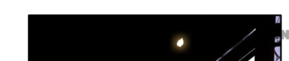 Con Đường Hoang Dã Của Vương Phi Chapter 166 - 25