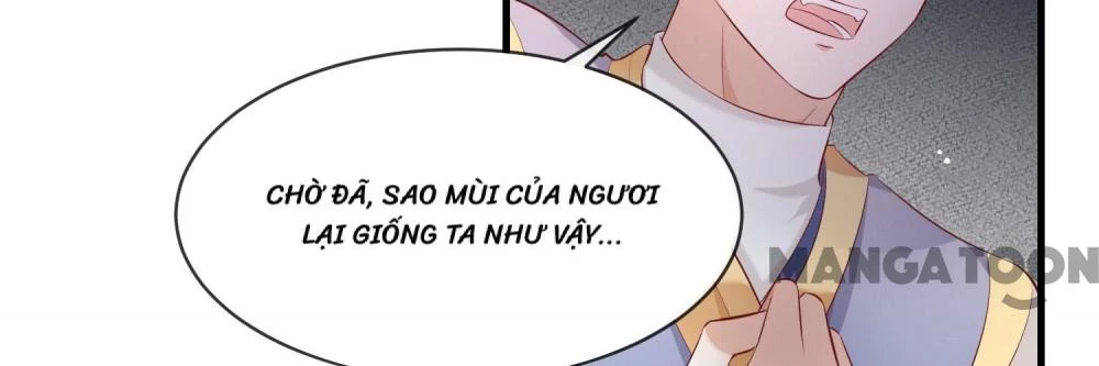 Con Đường Hoang Dã Của Vương Phi Chapter 167 - 6