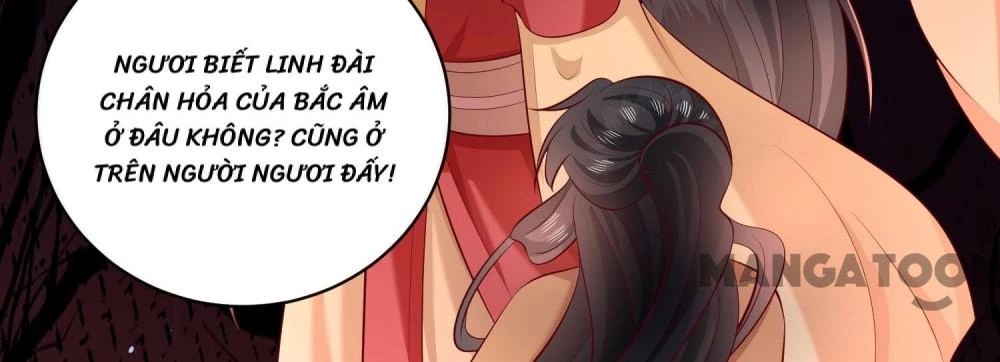 Con Đường Hoang Dã Của Vương Phi Chapter 173 - 8