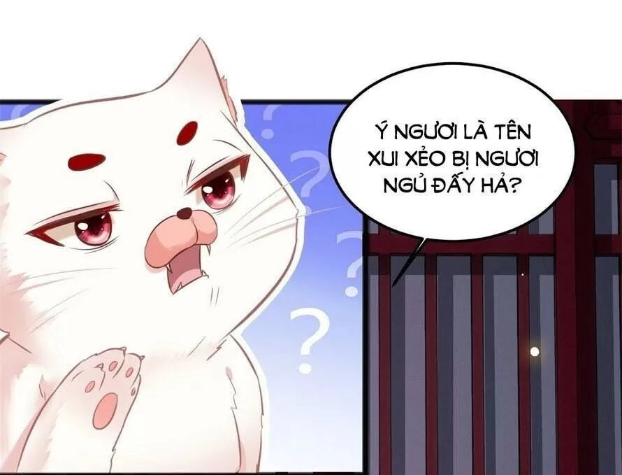 Con Đường Hoang Dã Của Vương Phi Chapter 8 - 11