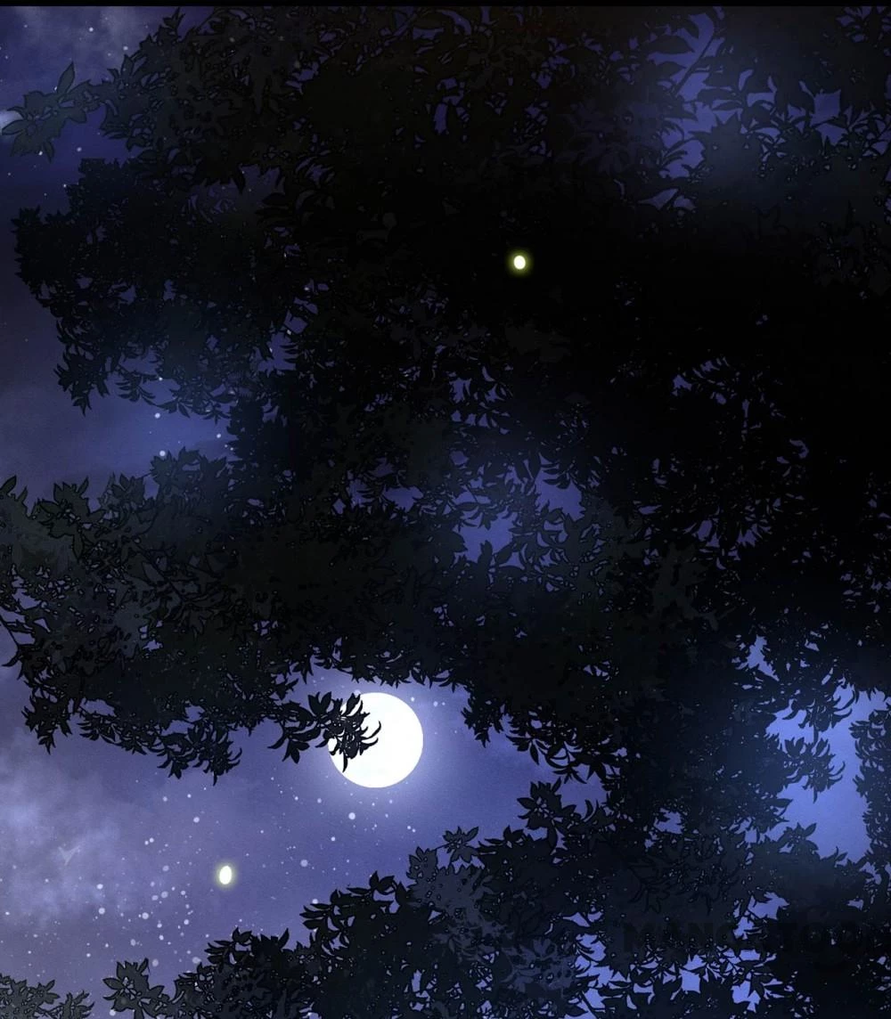 Con Đường Hoang Dã Của Vương Phi Chapter 25 - 37