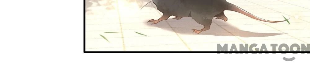 Con Đường Hoang Dã Của Vương Phi Chapter 28 - 29