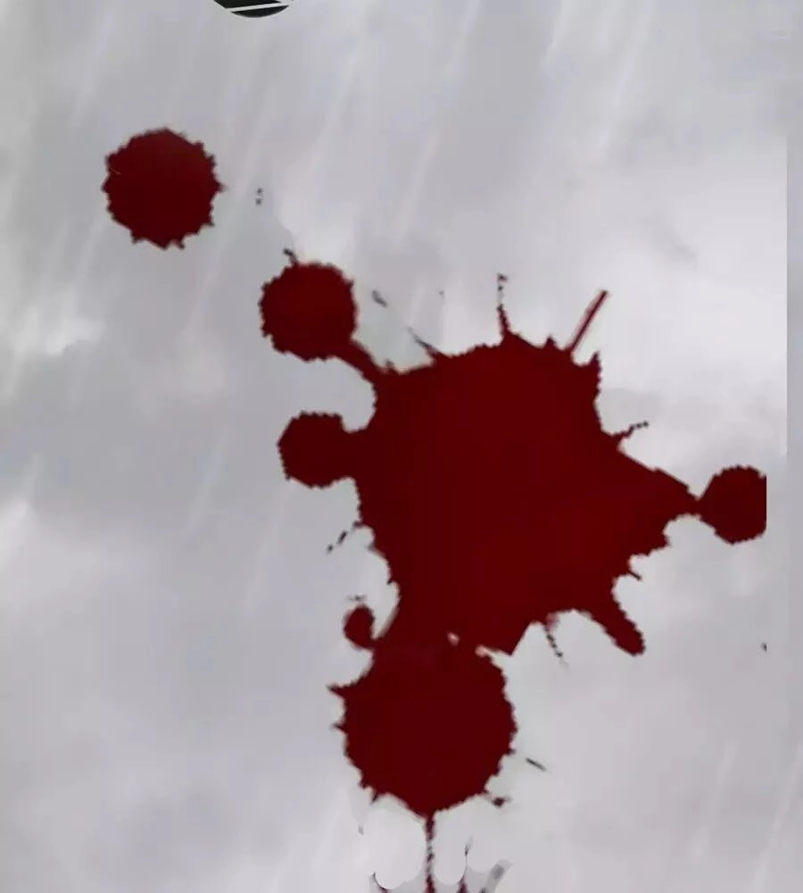 Đưa Em Đi Chơi Chapter 40 - 98