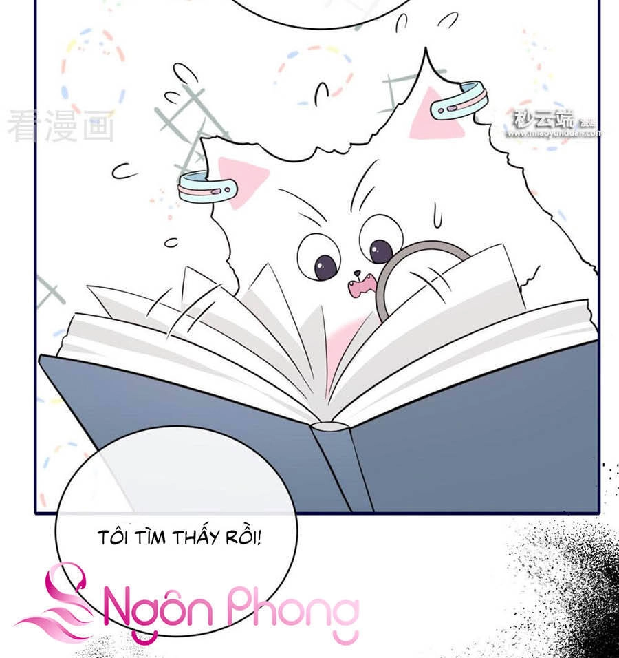 Đưa Em Đi Chơi Chapter 64 - 19