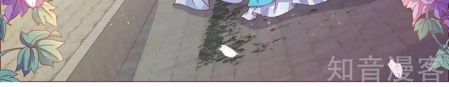 Lãnh Cung Phế Hậu Muốn Nghịch Thiên Chapter 2 - 7