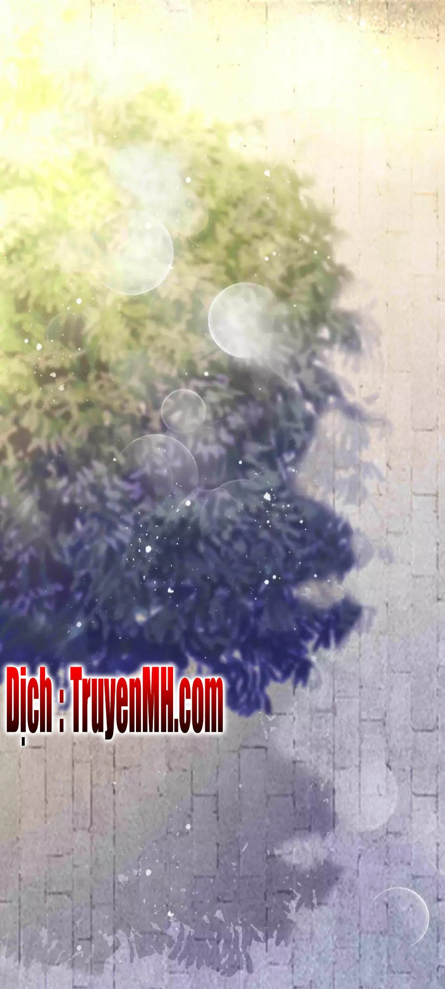 Lãnh Cung Phế Hậu Muốn Nghịch Thiên Chapter 4 - 11