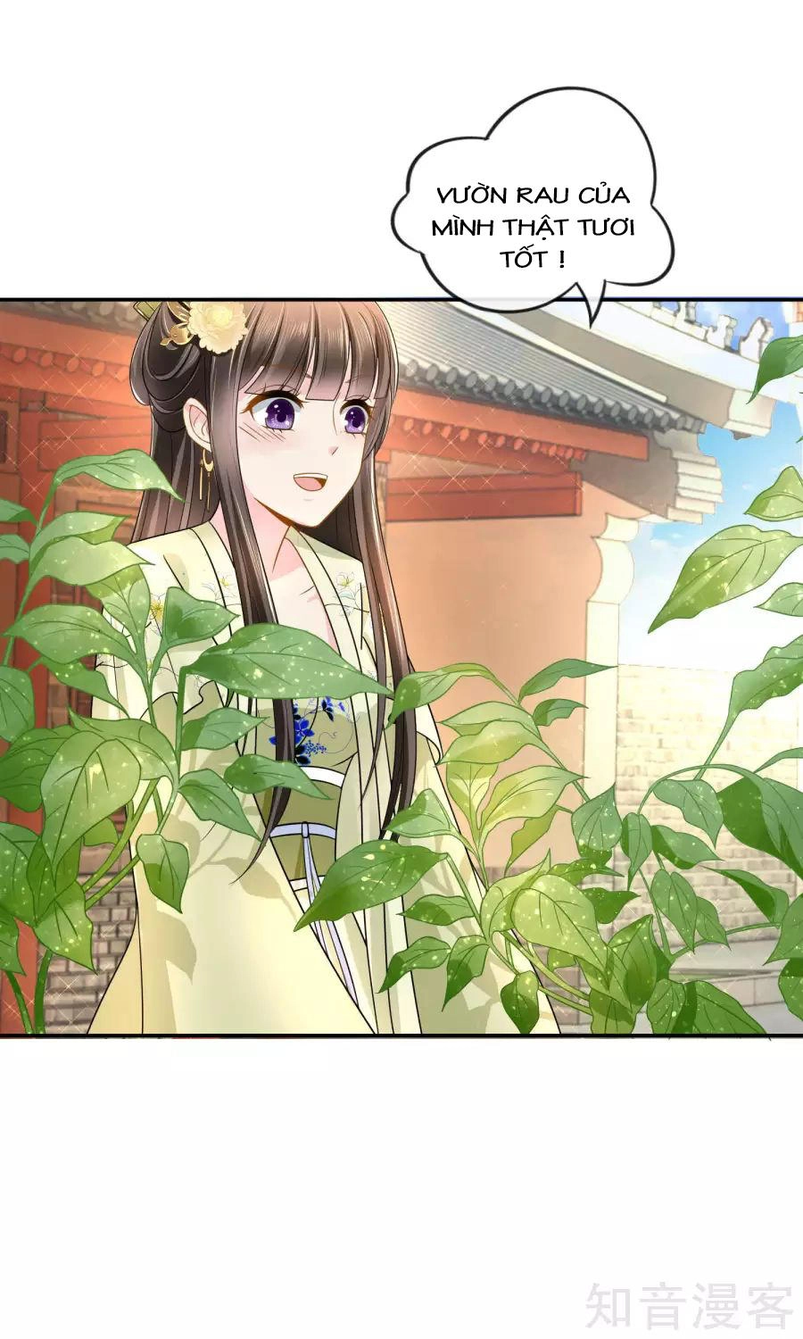 Lãnh Cung Phế Hậu Muốn Nghịch Thiên Chapter 23 - 19