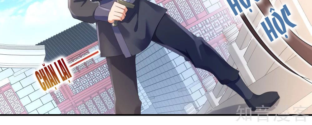 Lãnh Cung Phế Hậu Muốn Nghịch Thiên Chapter 95 - 19